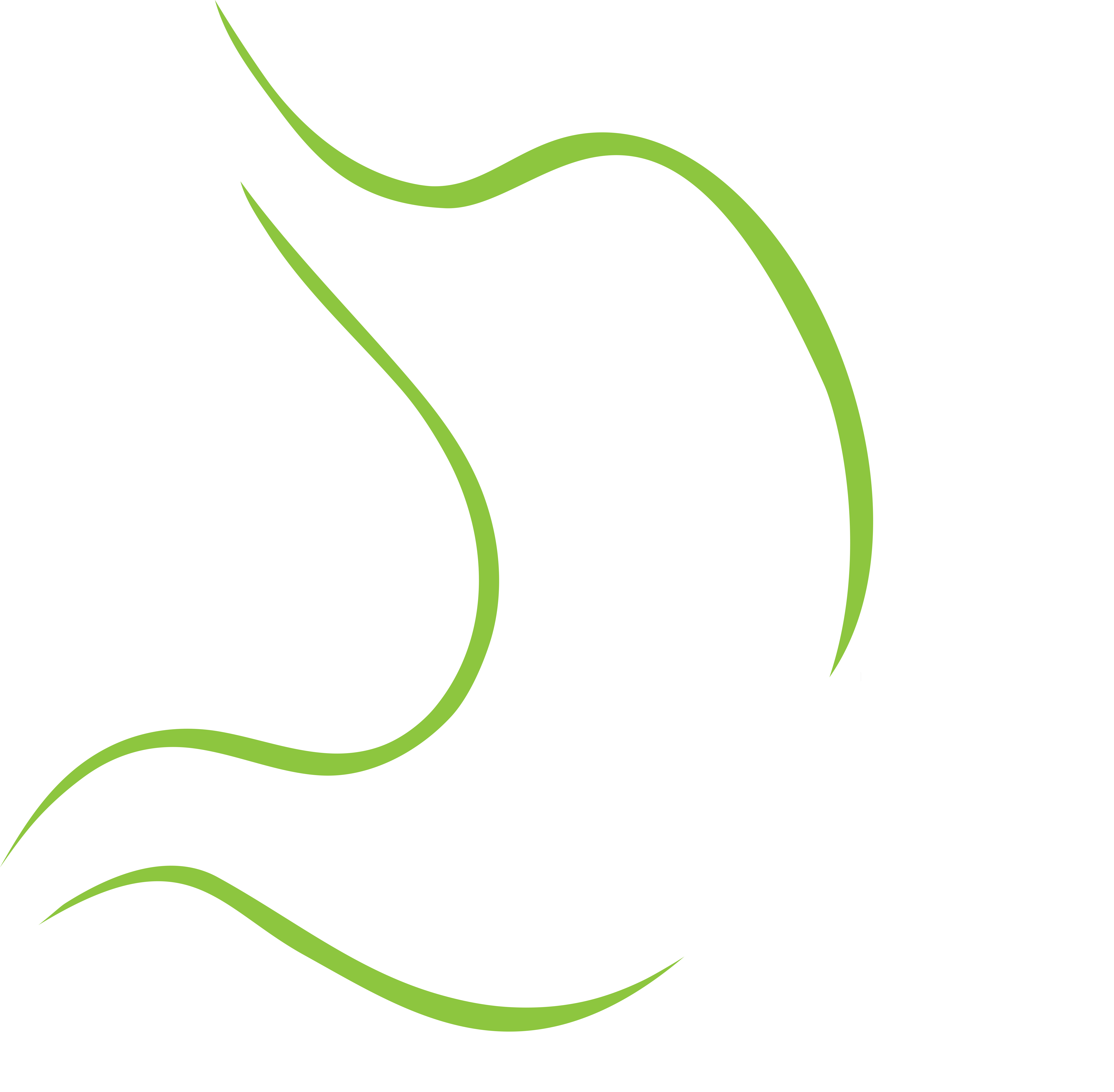 Roger Bongestab